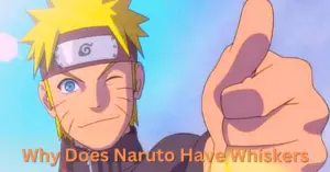 Why Does Naruto Have Whiskers