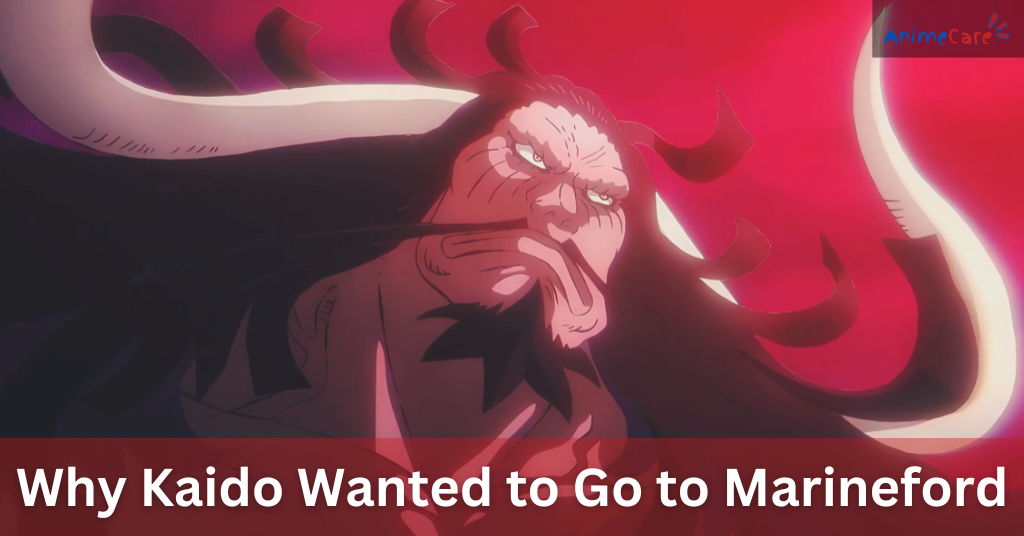 Why Kaido Wanted to Go to Marineford