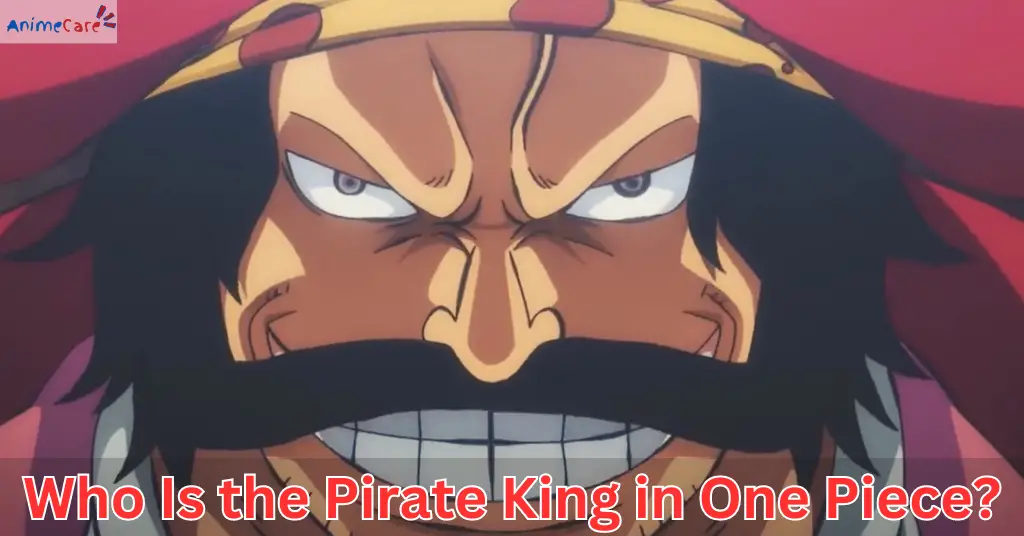 New Pirate King In One Piece