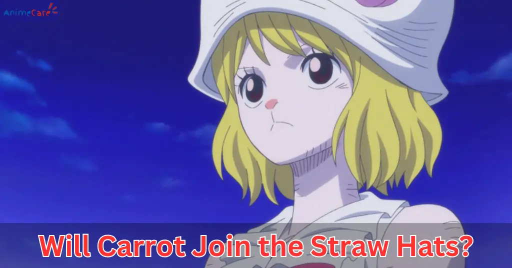 Will Carrot Join the Straw Hats
